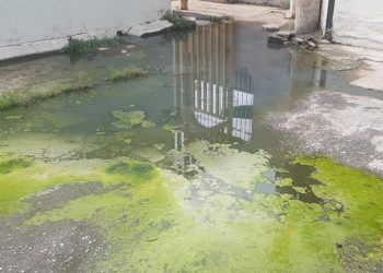 Valencia: Sector 2 de la Isabelica tiene meses con un bote de aguas negras