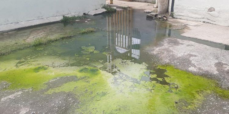 Valencia: Sector 2 de la Isabelica tiene meses con un bote de aguas negras
