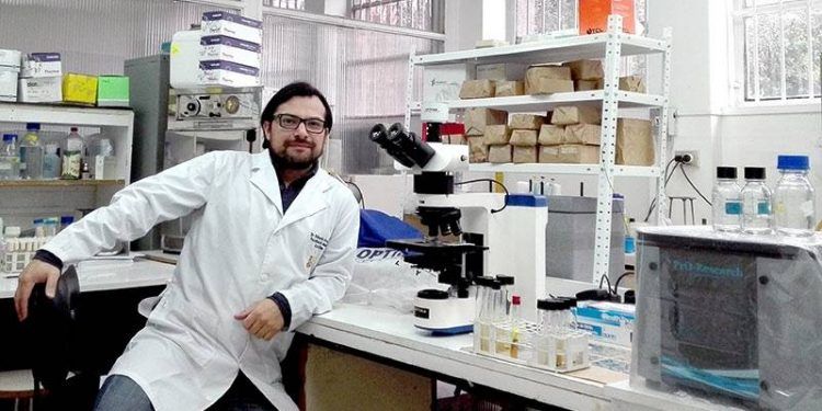 Investigadores de la U. de Chile descubren hongo único en el mundo en precordillera chilena