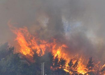 Grecia: Tras incendios descontrolados obligan a desalojar zonas de Atenas, Olimpia y Eubea (+ Video)
