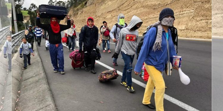Ascendió a más de seis millones el número de venezolanos refugiados y migrantes en el mundo