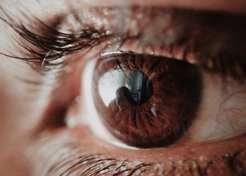 Terapia U. de Chile busca ayudar a personas con baja capacidad visual a mejorar percepción de rasgos faciales y emociones