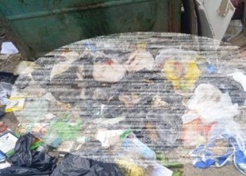 Miranda: Más de 50 perros fueron envenenados y arrojados en un basurero
