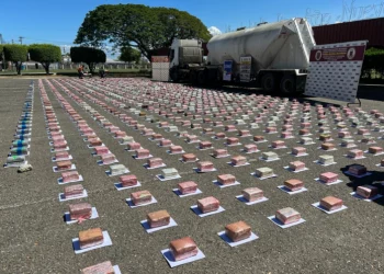 Carabobo: Más de una tonelada de drogas oculta en una gandola fue decomisada