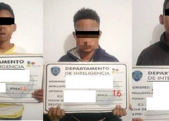 Monagas: Ministerio Público imputa a tres adolescentes por quemar a un gato en en la vía pública