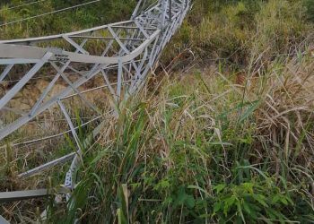 Nestor Reverol denunció «acto de sabotaje» en una torre de electricidad en Puerto Cabello