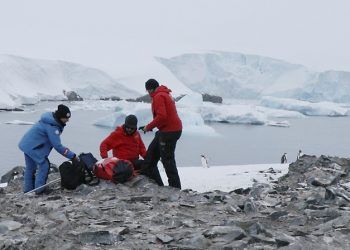 Chile: Indagarán presencia de coronavirus en la Antártica con foco en brote de COVID-19 ocurrido en Base O’Higgins