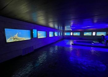 Valencia: Alcalde Julio Fuenmayor reinauguró zona Acuática del ZooAquarium  el Día de Reyes