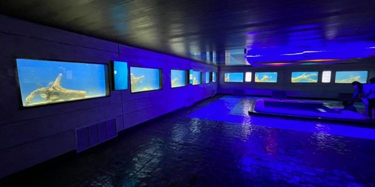 Valencia: Alcalde Julio Fuenmayor reinauguró zona Acuática del ZooAquarium el Día de Reyes