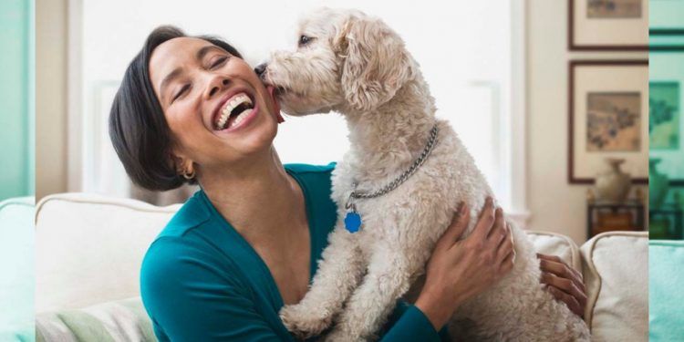 Las mascotas mejoran la salud cognitiva y reducen el riesgo de discapacidad, sugieren estudios