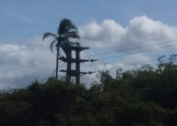 Carabobo: Vecinos de El Molino (Venepal) y Boca de Yaracuy en Morón pasan hasta cinco días continuos sin electricidad denuncia UNT