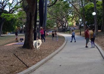 Carabobo: Lacava aplicará Ley que prohibe dejar excrementos de mascotas en lugares de esparcimiento