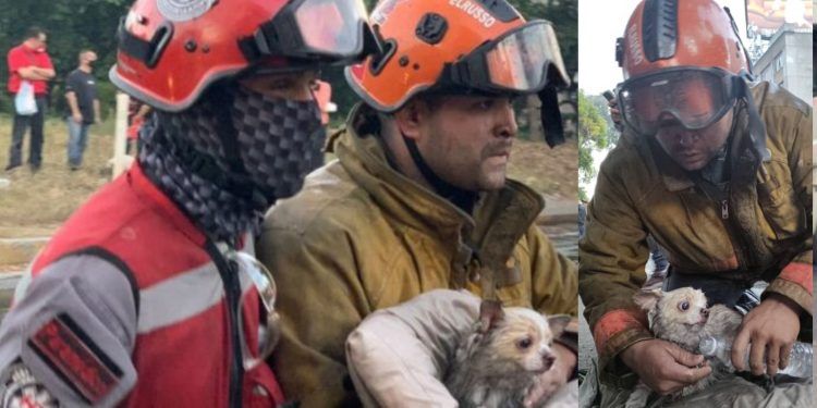 Bomberos de Caracas cumplieron magistral labor rescatando 11 víctimas y una mascota en incendio de Bello Monte