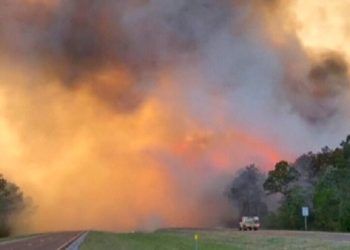 Florida: Enorme incendio forestal obliga a evacuar más de mil viviendas en Panhandle