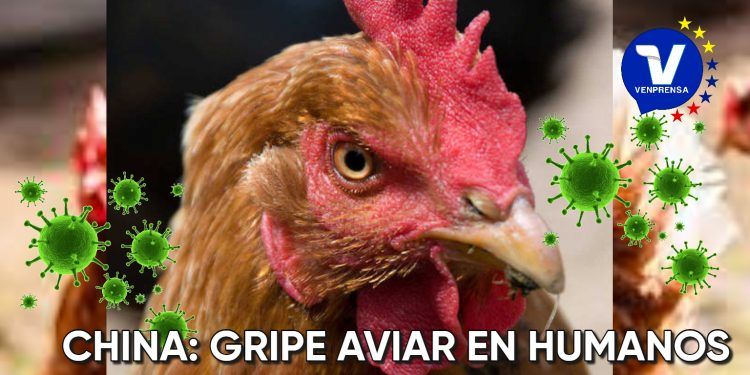 China: Reportan el primer caso de Gripe Aviar H3N8 en humanos