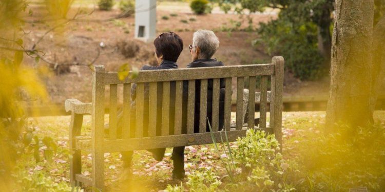 Centros de atención del adulto mayor estimulan la socialización y mitigan sensación de soledad