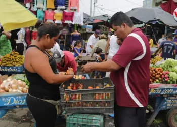 La canasta básica se vuelve un lujo para los nicaragüense tras constantes alzas