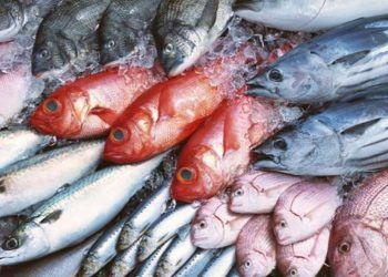 Ministerio de Comercio difunde precios para la venta de pescado en Semana Santa