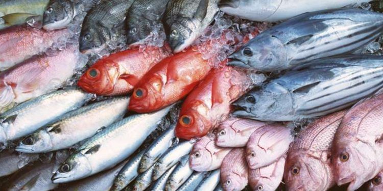 Ministerio de Comercio difunde precios para la venta de pescado en Semana Santa
