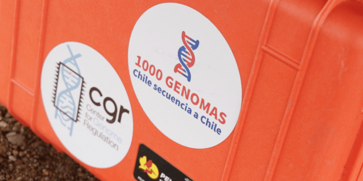 Chile: Descubren en la Antártica bacterias hiper resistentes que podrían significar un riesgo para la salud global