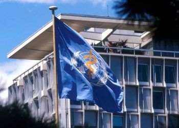 Viruela del mono: OMS convoca reunión extraordinaria por aumento de casos