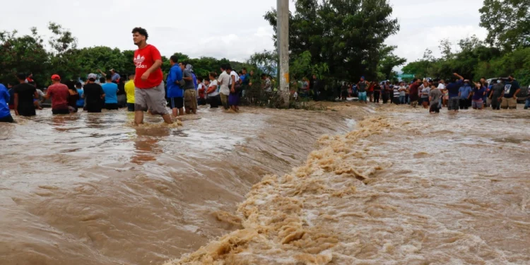Chile, México y Colombia se unen para pensar y accionar la adaptación al Cambio Climático desde la educación