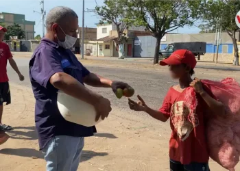 “El mango calma el hambre”: llegó la temporada de la fruta salvavidas en Venezuela (+ Video)