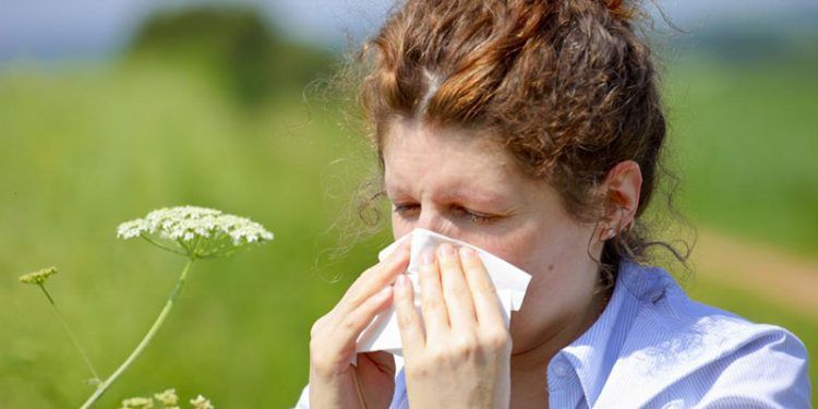Desde inyecciones hasta medicamentos orales: tratamientos para combatir las alergias de la temporada