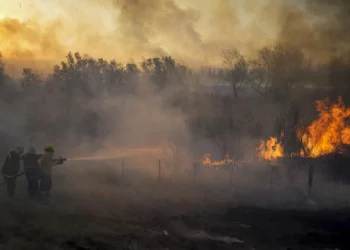 Argentina: Fuego arrasa con 100.000 hectáreas de humedal