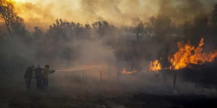 Argentina: Fuego arrasa con 100.000 hectáreas de humedal