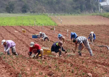 ¿Podría Venezuela proporcionar tierras de cultivo a Irán? (+ Videos)