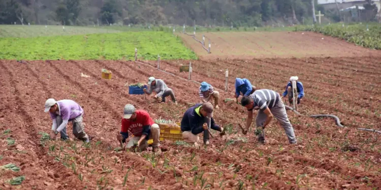 ¿Podría Venezuela proporcionar tierras de cultivo a Irán? (+ Videos)