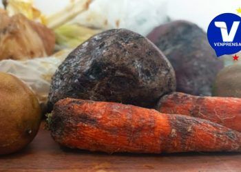 Guárico: Altagracia de Orituco tiene tres días sin energía eléctrica, «se nos pudren los alimentos»…