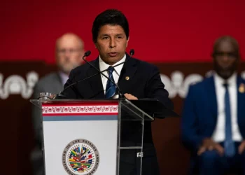 Gobierno de Perú solicita a la OEA activar la Carta Democrática Interamericana