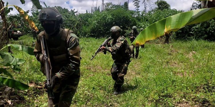 JJ. Mora: FANB aprehendió a seis sujetos robando material estratégico en Pequiven
