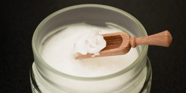 U de Chile realiza estudio que prueban eficacia del aceite de coco contra hongo de alta prevalencia y mortalidad en personas inmunosuprimidas