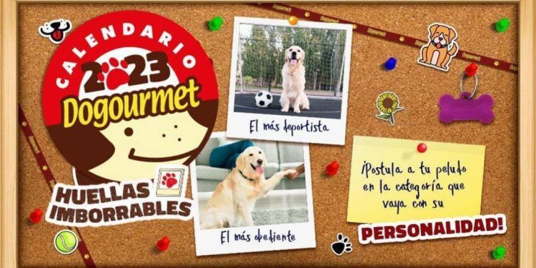 Dogoulovers y perritos de todo el país se preparan para participar en el casting del Calendario Dogourmet 2023