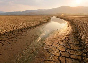 Equipo U. de Chile participa en la cumbre climática COP27 que se realiza en Egipto