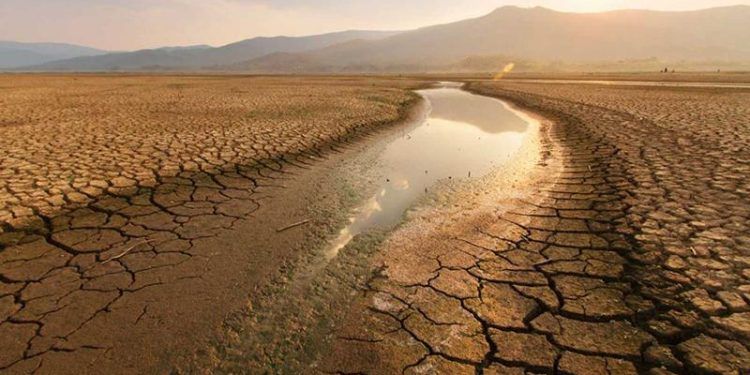 Equipo U. de Chile participa en la cumbre climática COP27 que se realiza en Egipto