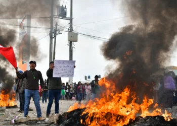Violentas protestas en Perú, Castillo habla en Twitter, Boluarte adelantaría elecciones