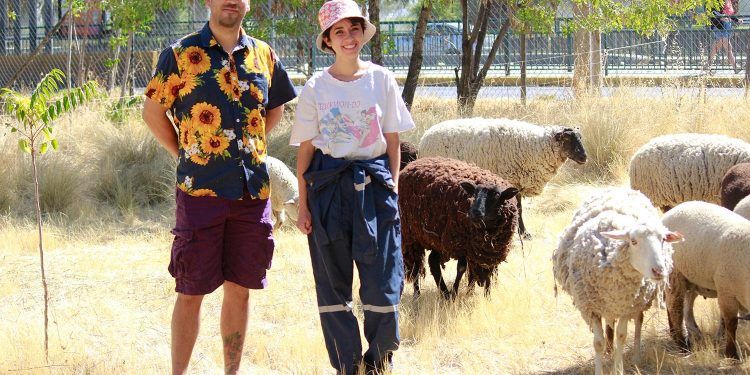 Ovejas y cabras son entrenadas para combatir los incendios forestales mediante el pastoreo