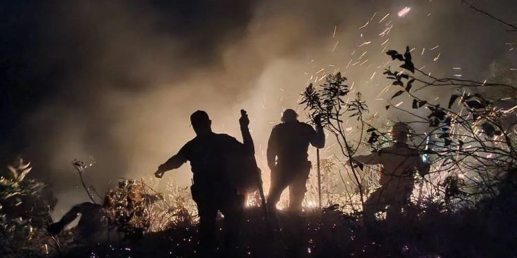 Táchira: Bomberos combaten arduamente incendio en el Parque Nacional Chorro El Indio