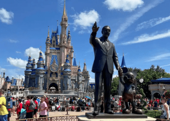 Wall