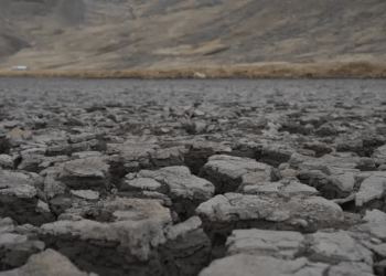Día de la Tierra: una jornada para tomar conciencia de los efectos negativos del cambio climático