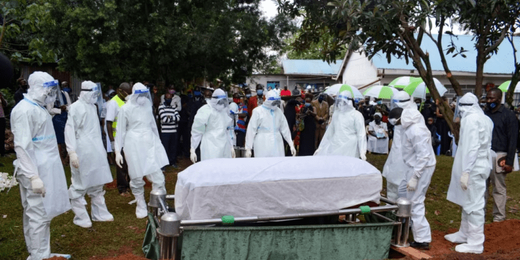 El Día Mundial de la Salud se celebra, un año más, bajo la sombra del coronavirus