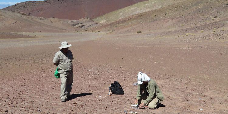 Chile: ¡Heces de 240 millones de años! Nuevos hallazgos sobre el origen de la Era de los Dinosaurios en el Desierto de Atacama