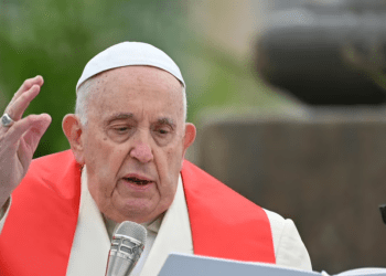 Papa Francisco preside misa del Domingo de Ramos, lee la homilía