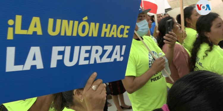 EEUU: Cientos de migrantes protestan en el sur de la Florida contra ley del gobernador (+ Video)