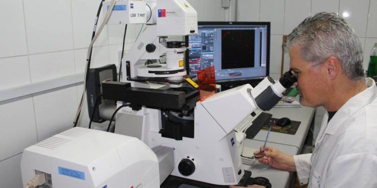 Tecnología U. de Chile permite probar dispositivo desarrollado en España para evaluar nuevos fármacos contra enfermedades neurodegenerativas