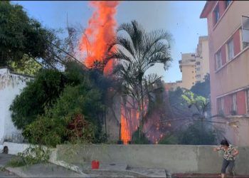 En Venezuela debemos reforzar la cultura de prevención de incendios expone investigación